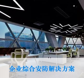 企業(yè)綜合安防解決方案