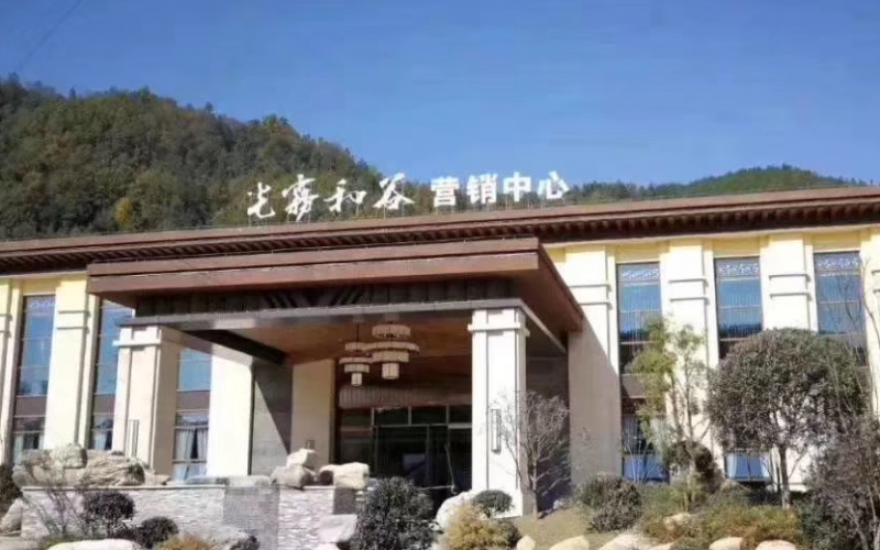 開元集團打造康養小鎮RIS營銷系統實施